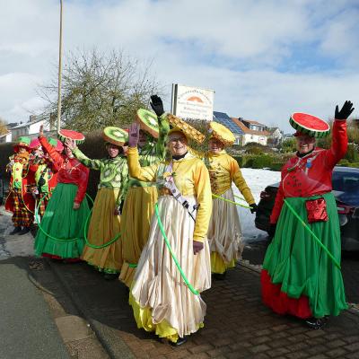 Impressionen vom Rosenmontagsumzug 2026 in Naumburg