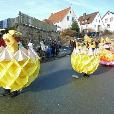 Impressionen vom Rosenmontagsumzug 2026 in Naumburg